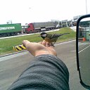 ���� ������, �����-���������, 47 ��� - ��������� 9 ����� 2022