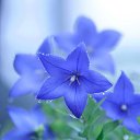 ���� ������ �������, �������, 67 ��� - ��������� 9 ������� 2022 � ������ �������