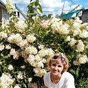 ���� �������, ���������, 67 ��� - ��������� 21 ������� 2022