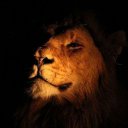  Vall, , 75  -  19  2022    