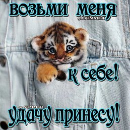 ���� ��������, ������� - ��������� 3 ������ 2022