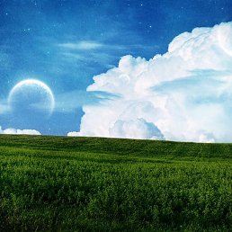 ������, �����, 53 ����