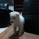 ���� O M E R, ������, 40 ��� - ��������� 28 ������� 2022