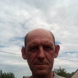 , 52 , 