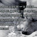���� �������, �������, 51 ��� - ��������� 3 ��� 2022 � ������ ���� ����������