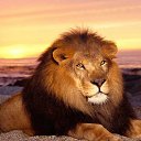 ���� ������, ���������, 53 ���� - ��������� 16 ������ 2022