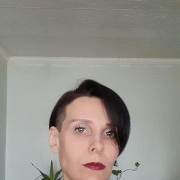 , 41, -