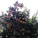 ���� ������, ������, 37 ��� - ��������� 27 �������� 2022 � ������ ���� ����������