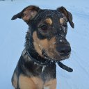 ���� I, ������-��-���� - ��������� 27 ���� 2022 � ������ ������ ��������