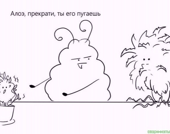 А алоэ то способный, может и болезни разные полечить. - 3
