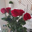 ���� �������, ��������� - ��������� 23 ������ 2023 � ������ ���� ����������