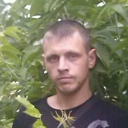 �������, �����������, 40 ���