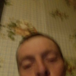 ����, �������, 43 ����