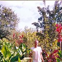 ���� �������, ���������, 38 ��� - ��������� 4 ����� 2022