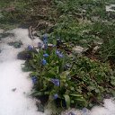 ���� ���� ��������, ������, 52 ���� - ��������� 4 ������ 2022 � ������ ���� ������