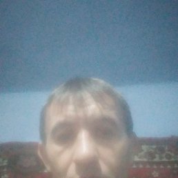 ����, �������, 43 ����