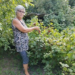 ���� ���������, �������, 65 ��� - ��������� 14 ������ 2022