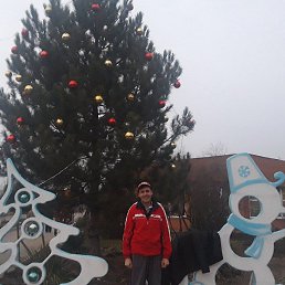 ���������, ���������, 47 ���