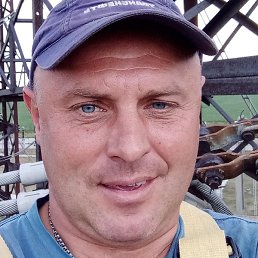 ���, ������, 49 ���