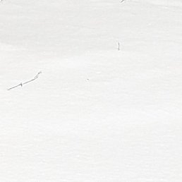 ������, �����-���������, 58 ���