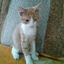 ���� ������, ����������, 56 ��� - ��������� 21 ������ 2022 � ������ ���� ����������