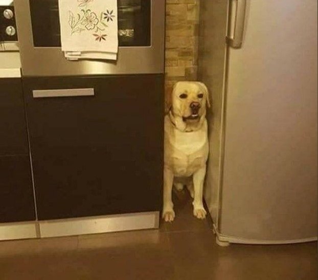 ��� ������ ������� ������ �� ���� �����