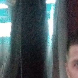 �����, ����, 42 ����