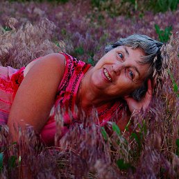 �������, �������, 73 ����