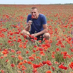 ���� �����, �����������, 57 ��� - ��������� 23 ������ 2022