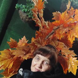 ���������, ������������, 45 ���