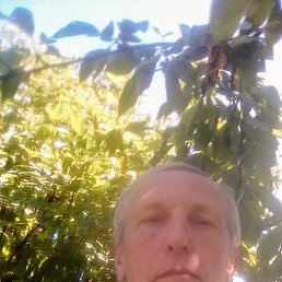 ���� ������, ����, 72 ���� - ��������� 18 ������� 2022