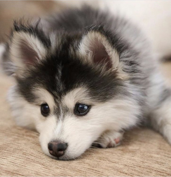 ���� ����� �������� ������� ���������, ����� ��������������� ����������� ������, �� �� ��� ����� ...