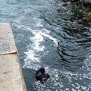 ���� �������, �������, 63 ���� - ��������� 21 ������� 2022 � ������ ���� ����������