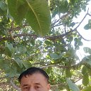  zat., , 52  -  29  2022