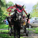 ���� ���������, �������� - ��������� 15 ������� 2023 � ������ ���������