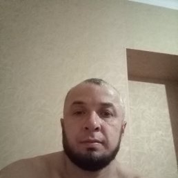 ���� ����, ������, 39 ��� - ��������� 4 ������ 2023