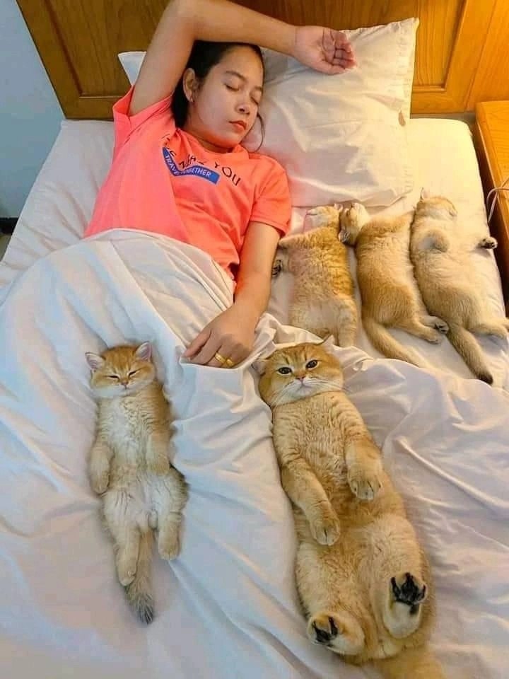   ,    ...