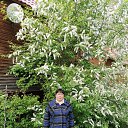 ���� ������, ������, 62 ���� - ��������� 12 �������� 2022 � ������ ���� ����������