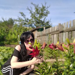 ���� �������, ������, 41 ��� - ��������� 14 ������ 2022