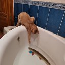 ���� ������, ������, 52 ���� - ��������� 25 ������ 2023 � ������ ���� ����������