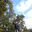 ���� ������, ������, 61 ��� - ��������� 22 ������ 2022
