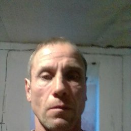 , 44 , 