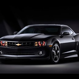 ������, ������� ����, 44 ����