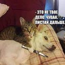 ���� �������, �������, 61 ��� - ��������� 8 ������ 2022 � ������ ���� ����������