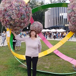 ����, �������, 55 ���