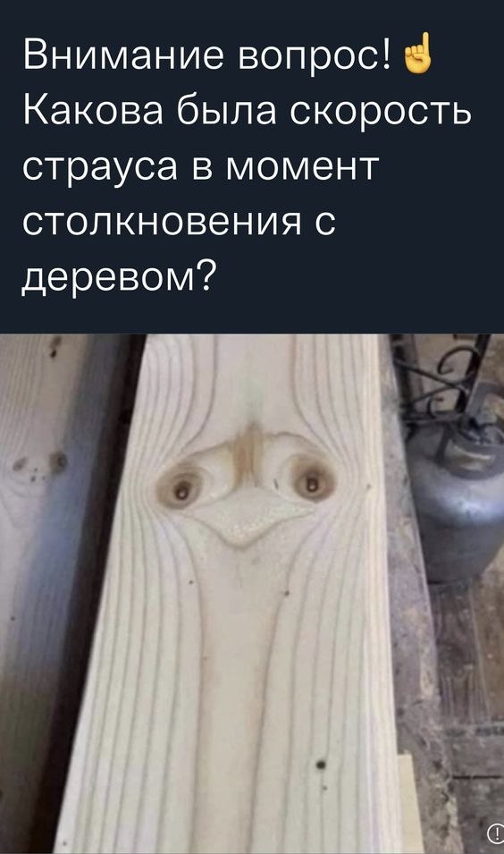   - 12  2022  22:15