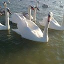 ���� ��������, ���������, 67 ��� - ��������� 4 ������� 2022 � ������ ���� ����������