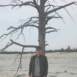 ���������, �����������, 43 ����