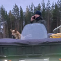 ����, ������, 36 ���