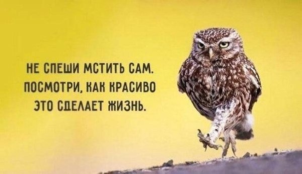 Копилка самых бесценных работающих советов. - 2